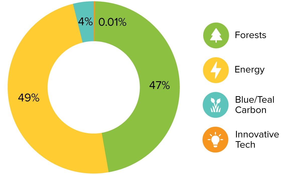 A donut chart shows historic carbon offset project portfolio allocationto blue/teal carbon, forests, energy, and innovative climate tech projects