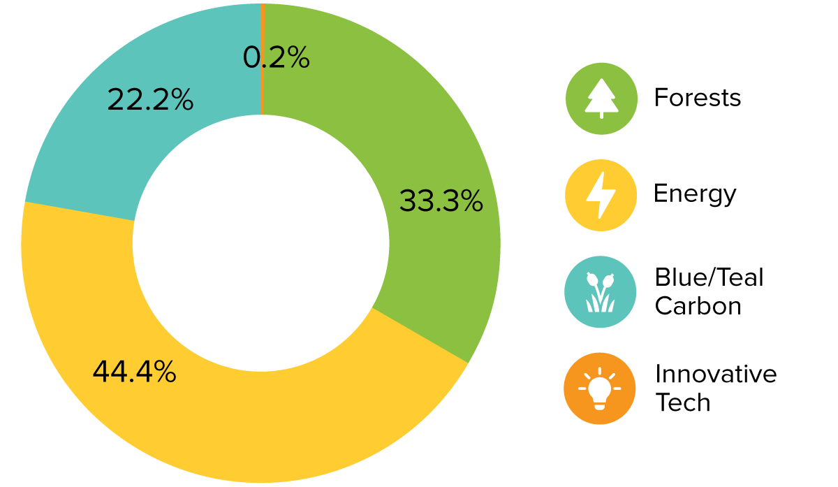 A donut chart depicting the distribution of carbon offsets in portfolio 2 of 2024