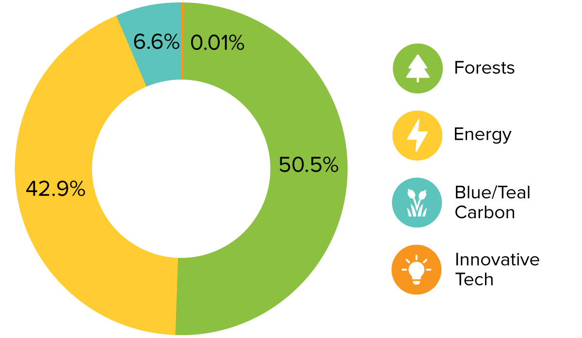 A donut chart depicting the distribution of carbon offsets across four different types of projects