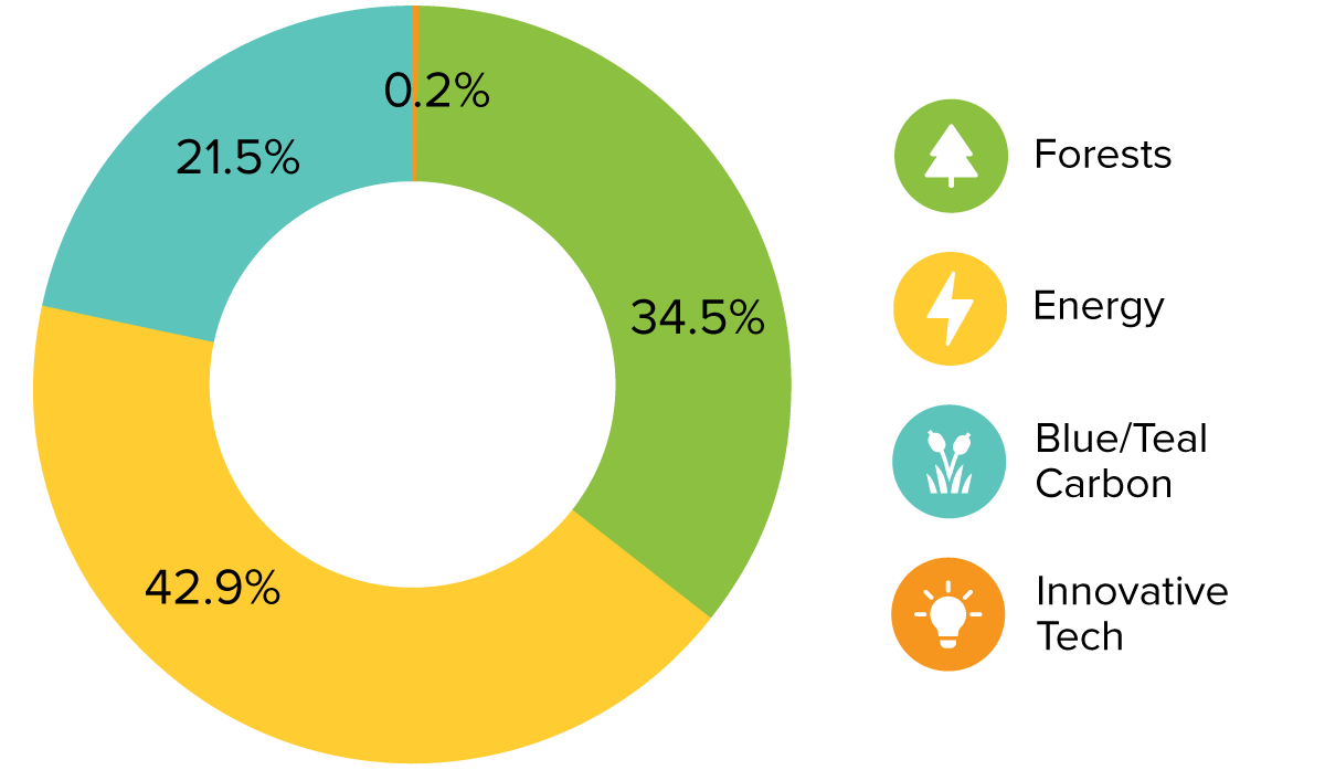 A donut chart displaying the percentages for each carbon offset project type within our third climate impact portfolio of 2024