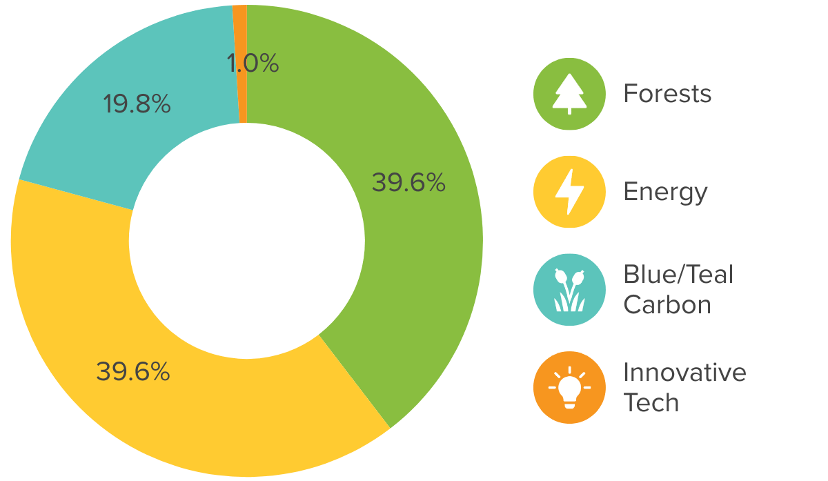 A donut chart shows climate impact portfolio allocation to blue/teal carbon, forests, energy, and innovative climate tech carbon offset projects