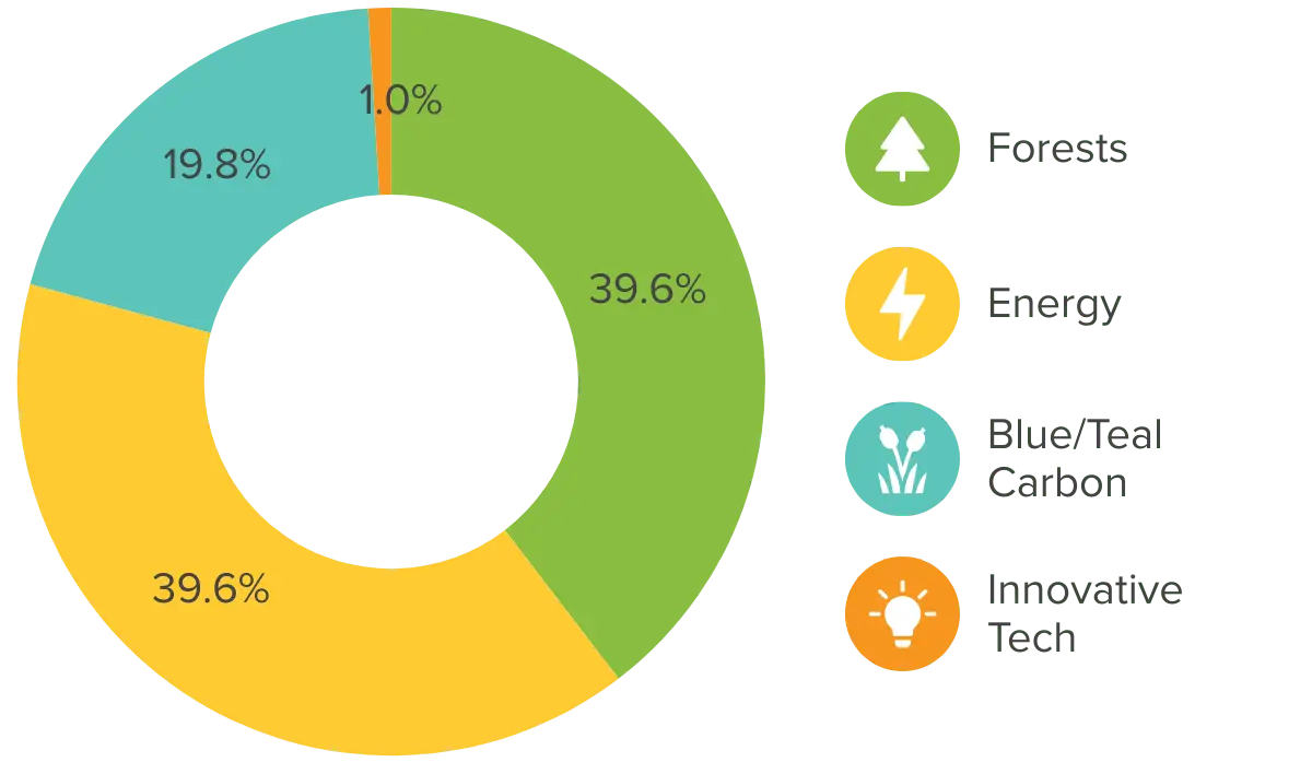 A donut chart shows climate impact portfolio allocation to blue/teal carbon, forests, energy, and innovative climate tech carbon offset projects