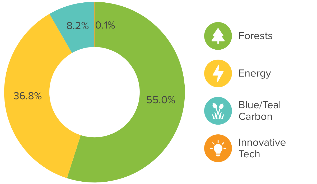 A donut chart shows historic climate impact portfolio allocation to blue/teal carbon, forests, energy, and innovative climate tech carbon offset projects
