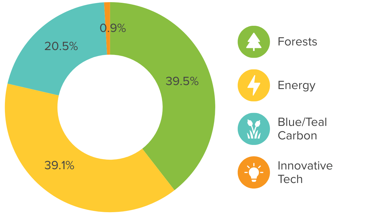 A donut chart shows climate impact portfolio allocation to blue/teal carbon, forests, energy, and innovative climate tech carbon offset projects.