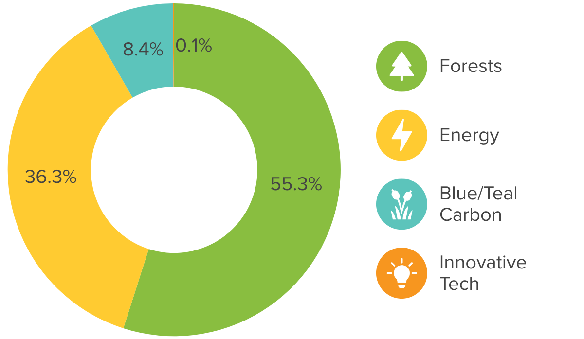 A donut chart shows historic climate impact portfolio allocation to blue/teal carbon, forests, energy, and innovative climate tech carbon offset projects