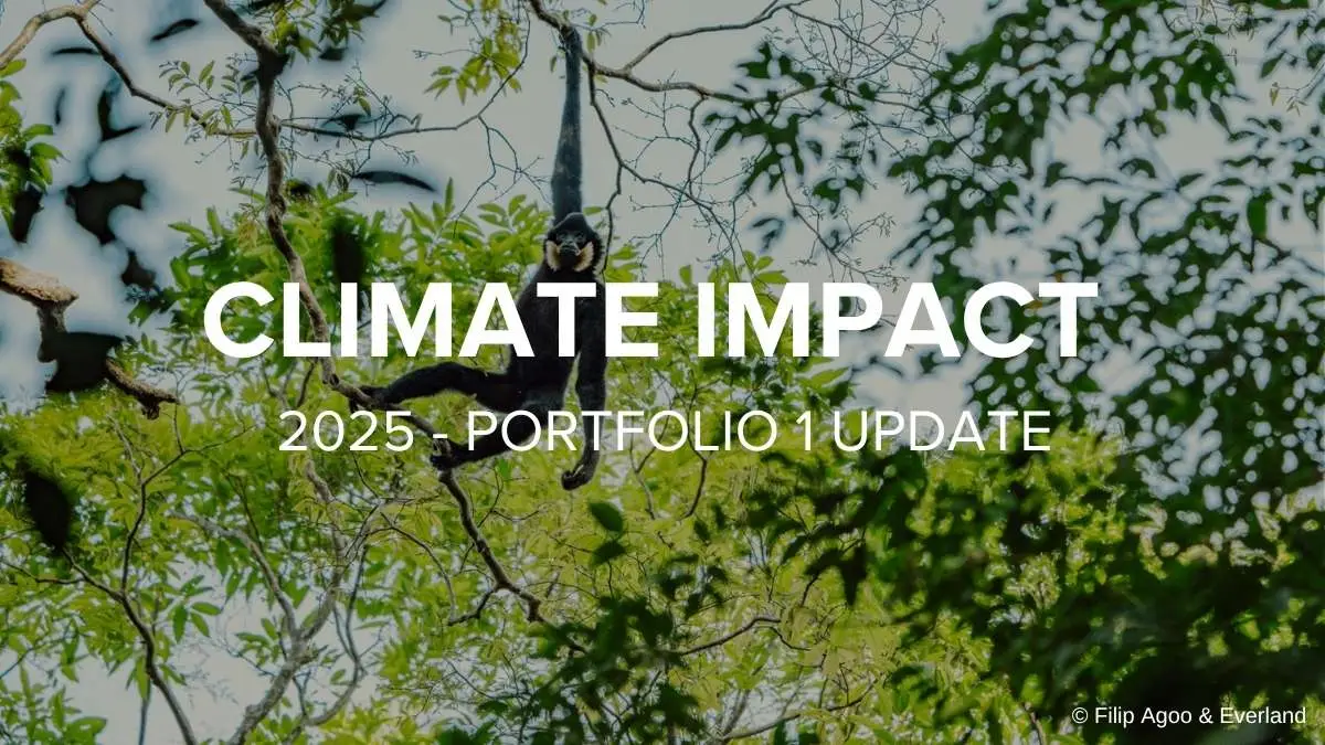 2025 Portfolio 1 Climate Impact Update featured image featuring a gibbon in Keo Seima Wildlife Sanctuary