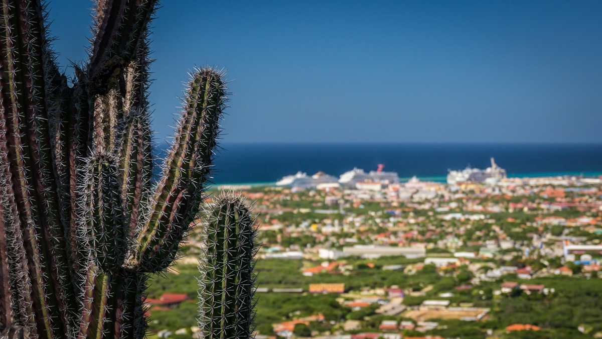 Aruba View