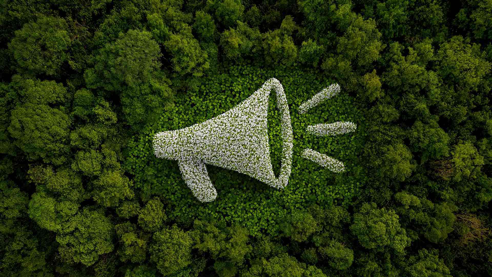Greenwashing or green claims marketing image with megaphone among trees