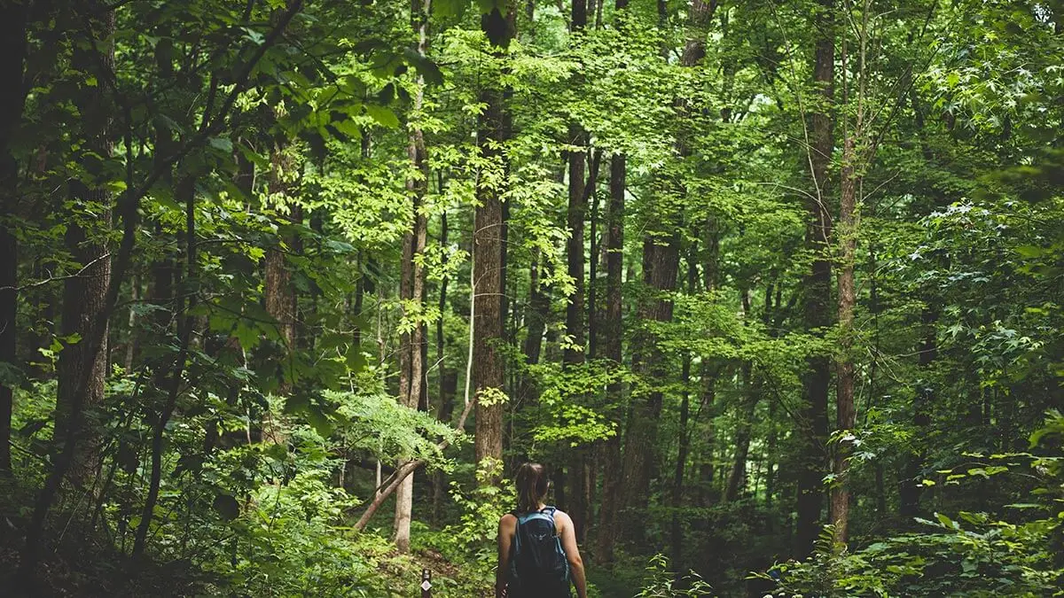 Girl walking in forest