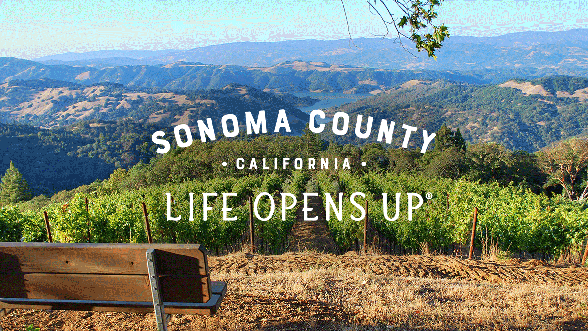Sonoma County California vineyards view