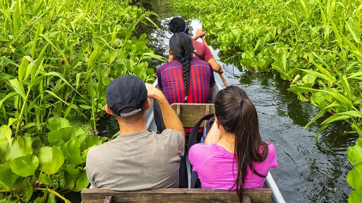 Amazon jungle tour with local guide in Ecuador