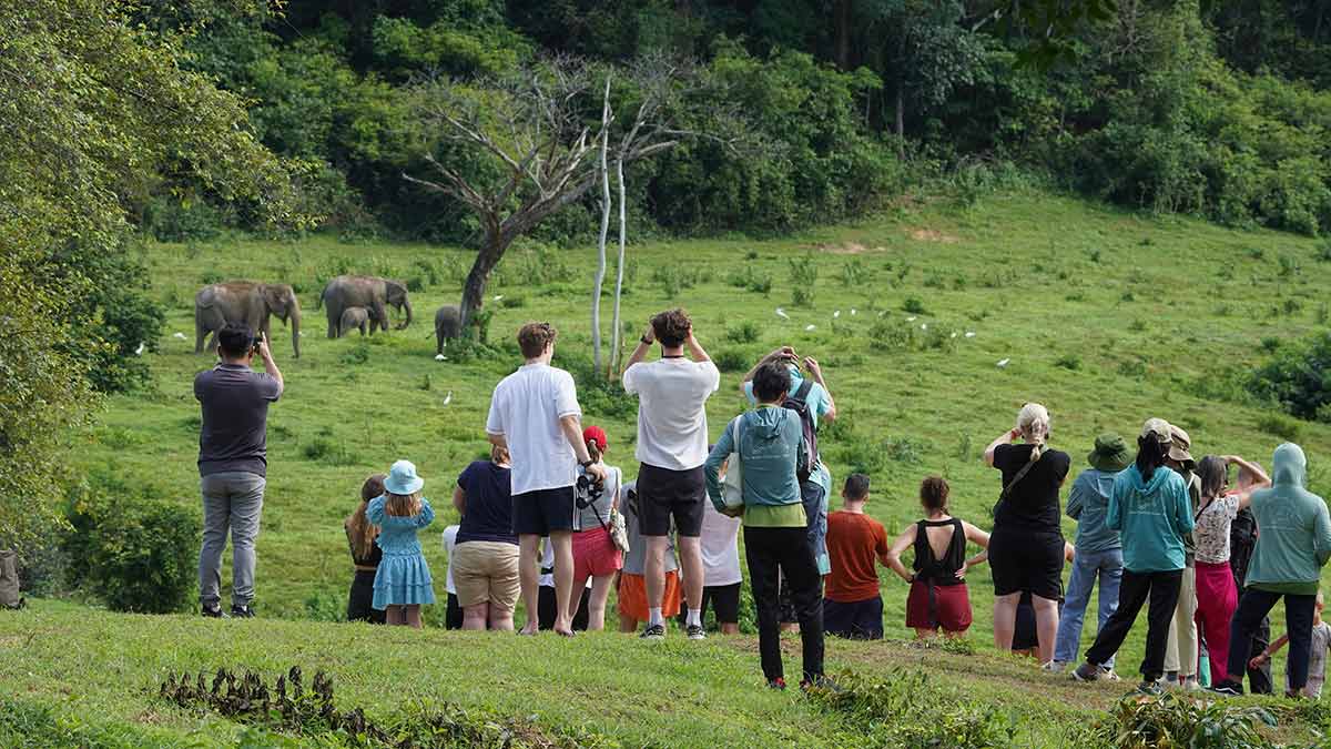 Elephant Tourism in Kui Buri National Park in Thailand