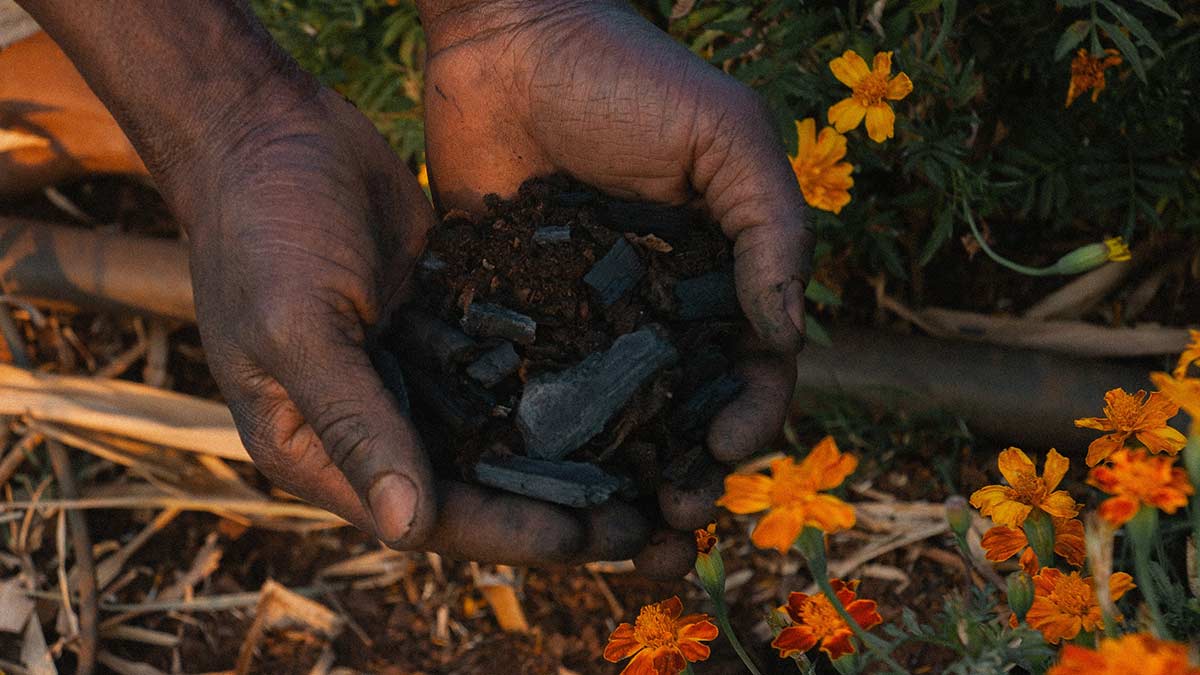 Person holding biochar produced to sequester carbon and mitigate climate change.