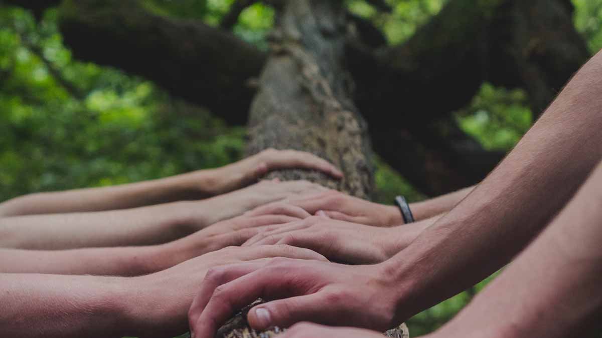 People placing hands on tree