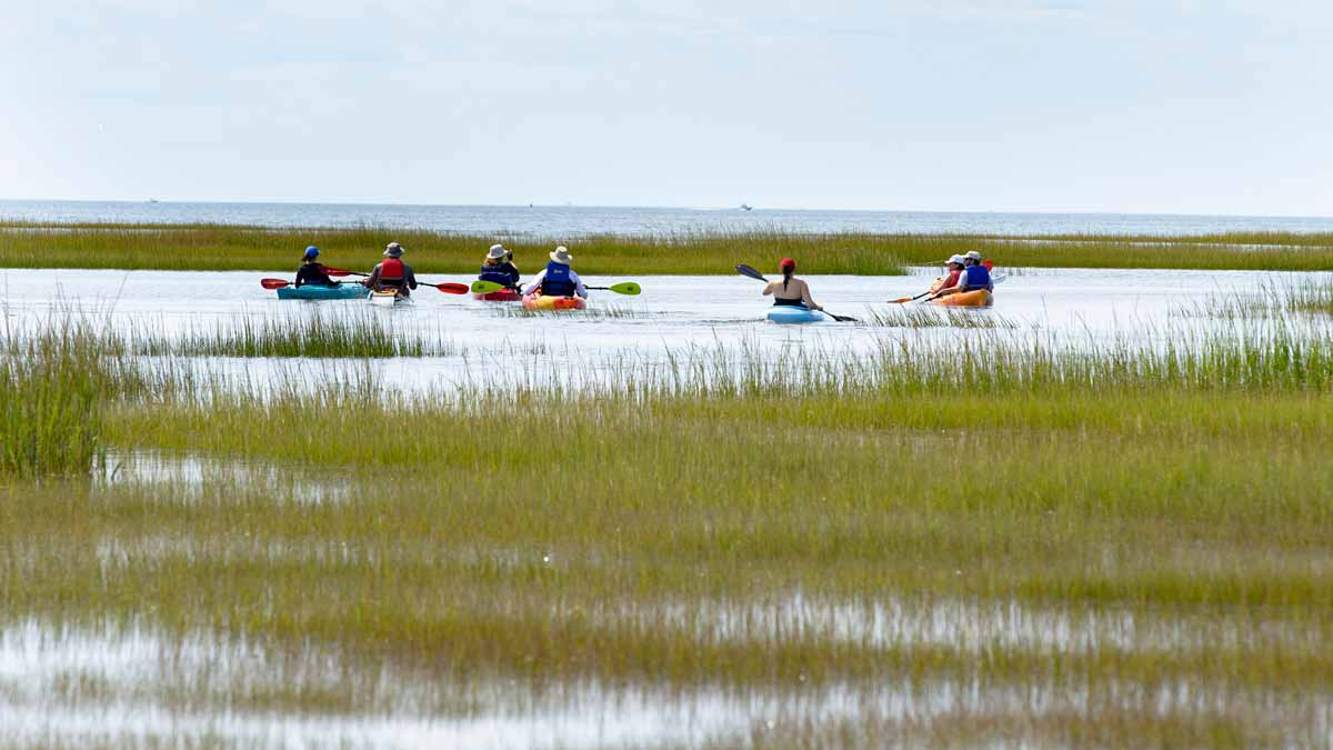 Kayaking in a blue carbon salt marsh wetland on the coast of Cape Cod, Massachusetts