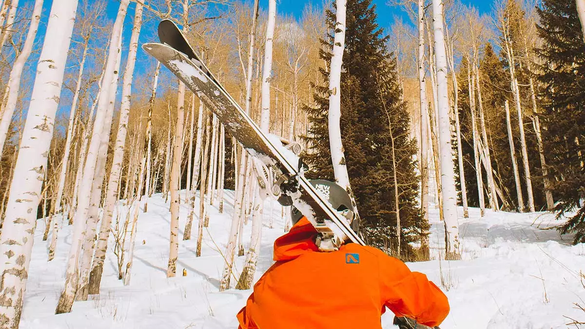 Skier walking through the forested mountains of Vail, Colorado