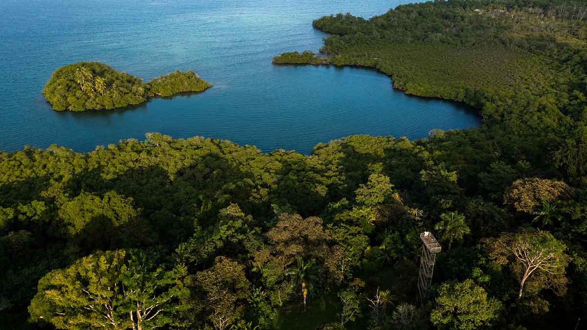 Observation tower overlooking nature and coast at Tranquilo Bay Eco Lodge in Panama