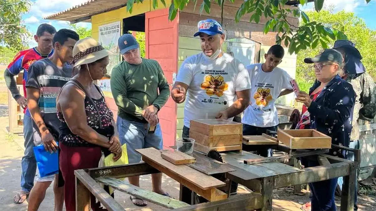 Trocano carbon offset project beekeeping training building bee houses