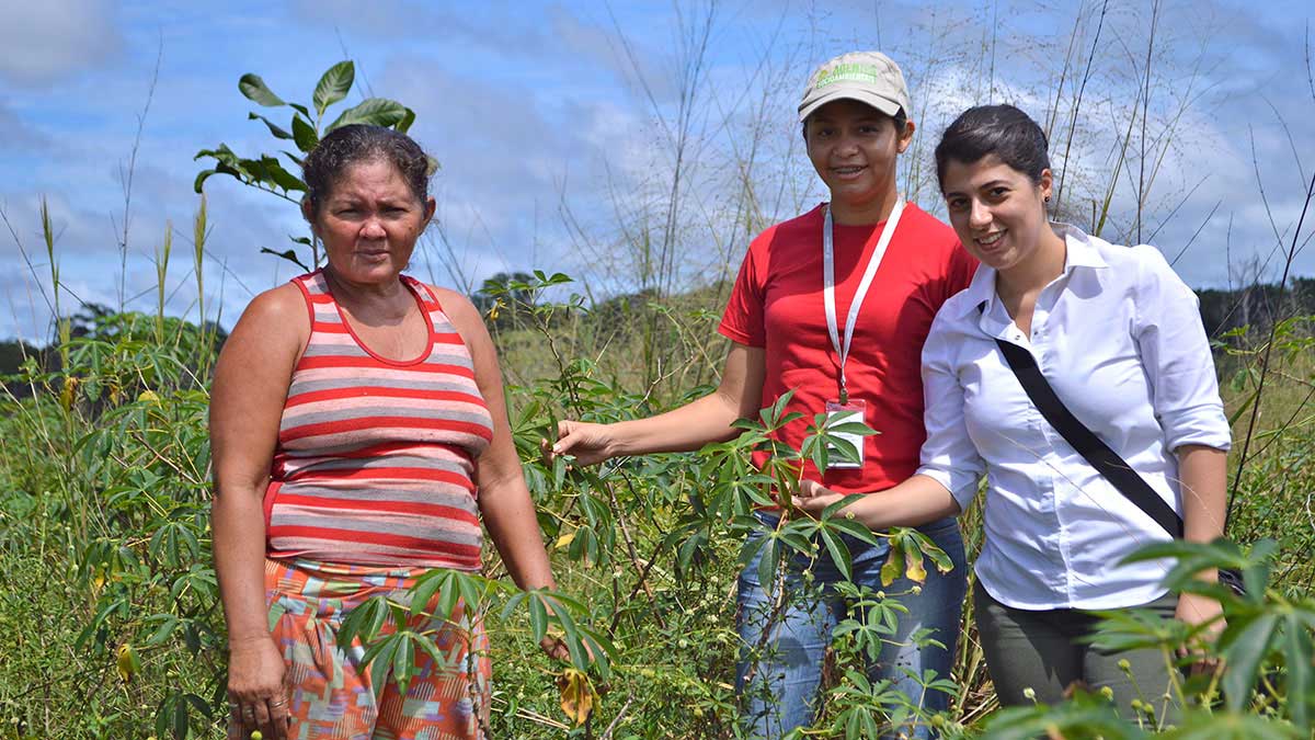 Women of the Jari Amapa Carbon Offset Project