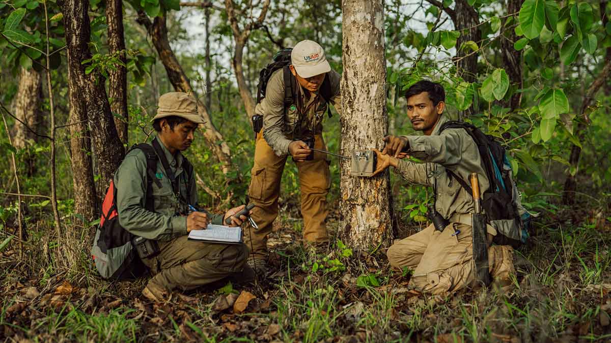 Ranges install camera monitoring devices as part of the Keo Seima forest protection carbon offset project 