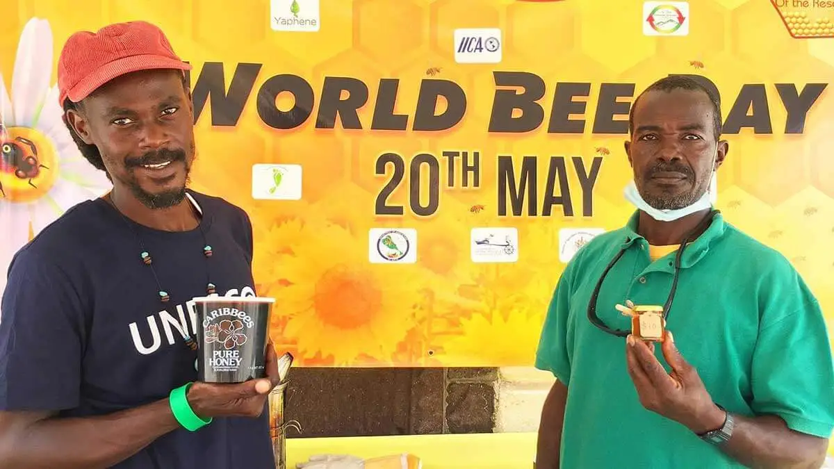 St Kitts World Bee Day Booth