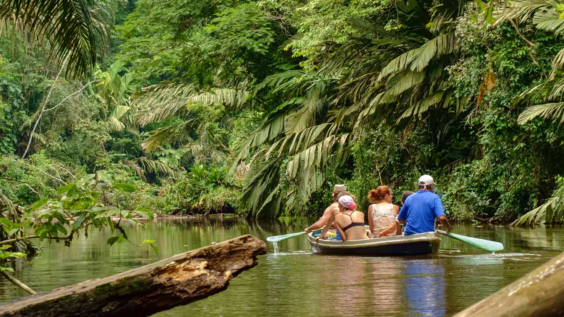 Ecotourism activity in Costa Rica, paddling in Tortuguero National Park.