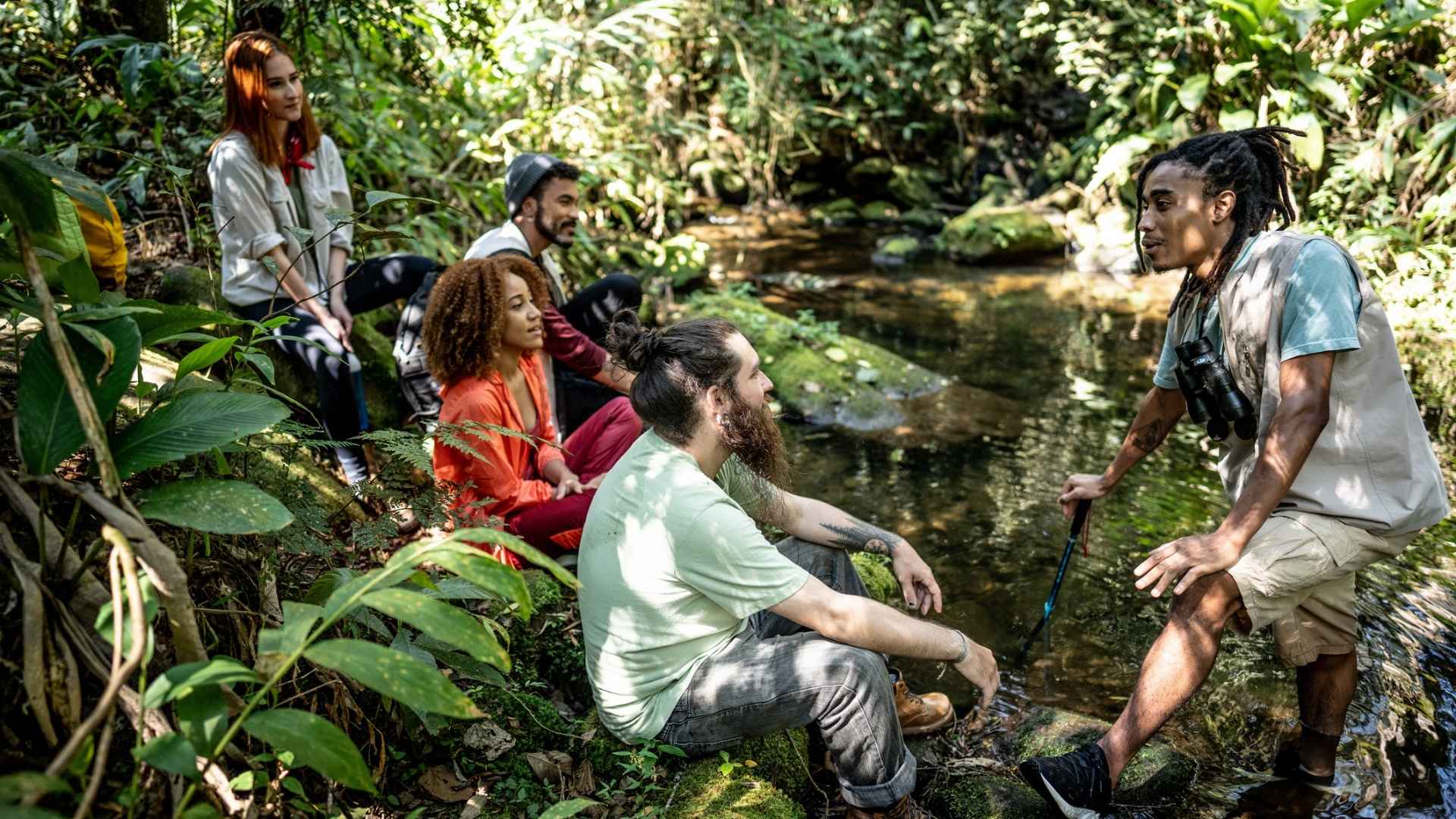 A guided forest group tour, an ecotourism example in a tropical destination.