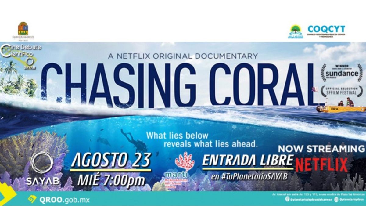 Chasing Coral Banner 