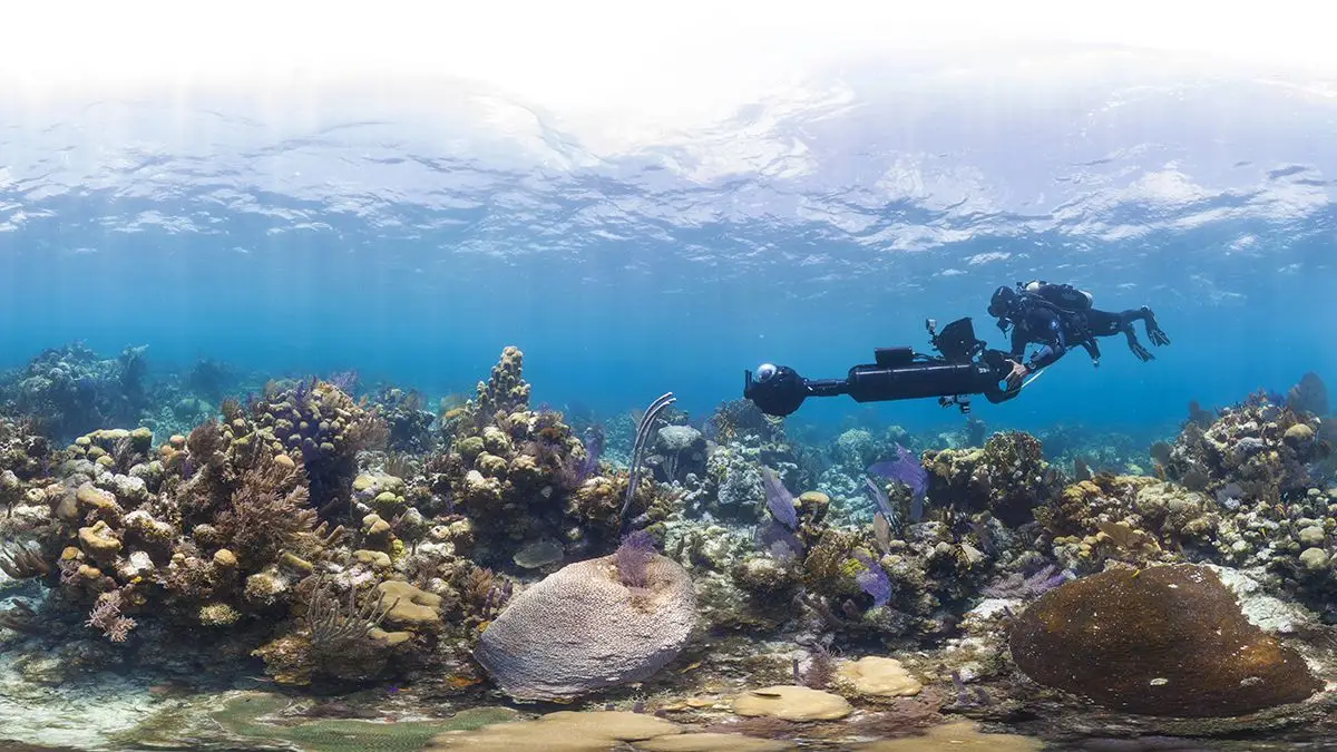 Caption: Glovers Reef by XL Catlin Seaview Survey - The Ocean Agency - Christophe Bailhache
