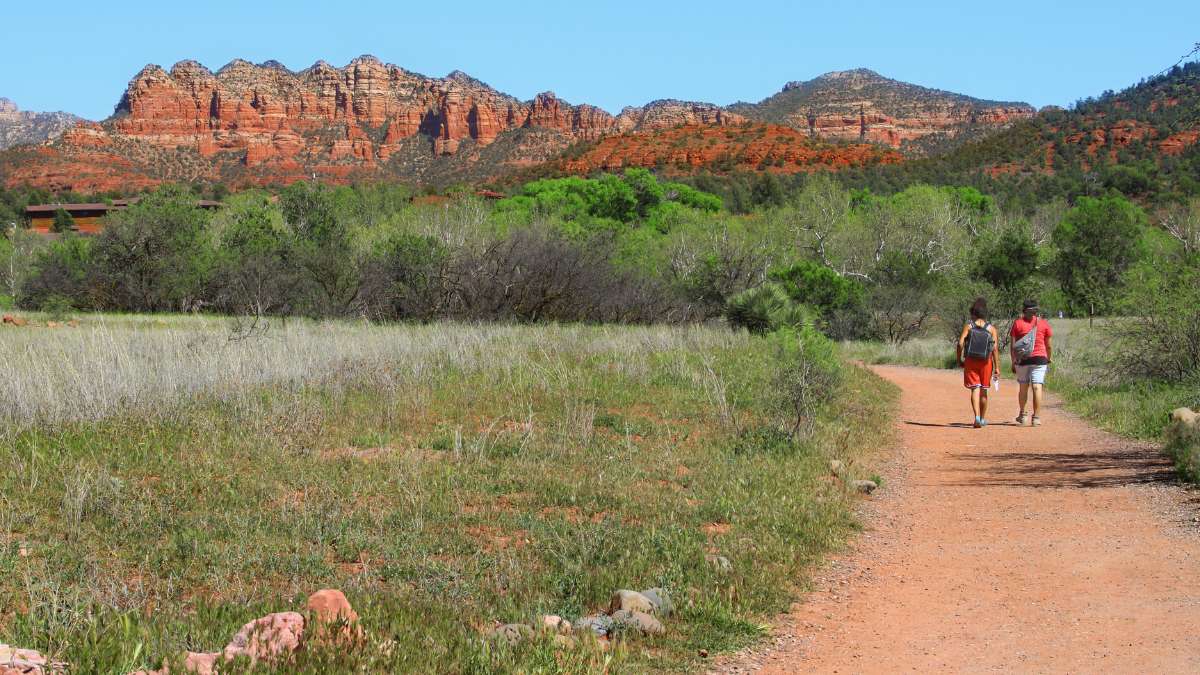 Ecotourism Examples: Practices Around the World