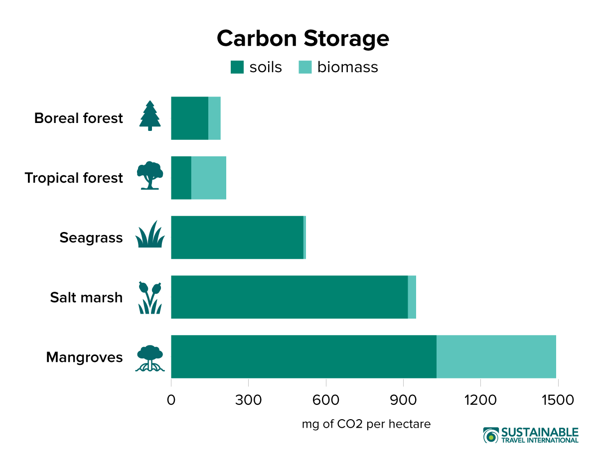 Blue Carbon Ecosystems Carbon Storage Graph