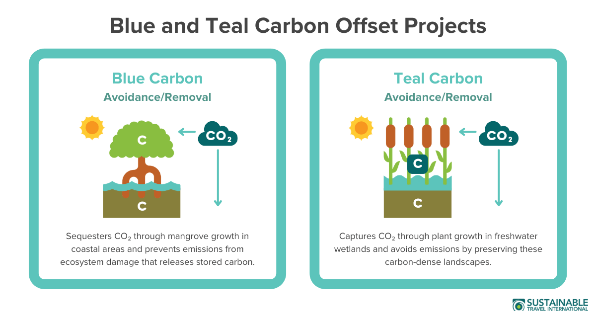Blue and teal carbon offset projects infographic