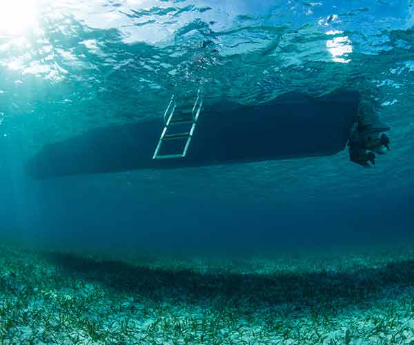 A boat above blue carbon seagrass, which can damage the ecosystem with its propellor and anchor.
