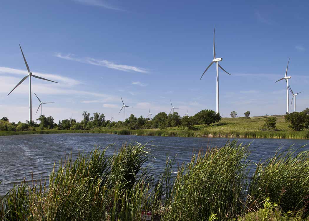 Big Smile Wind Farm Carbon Offset Project
