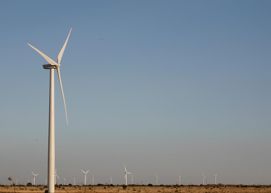 Capricorn Ridge Wind Farm Carbon Offset Project in Texas