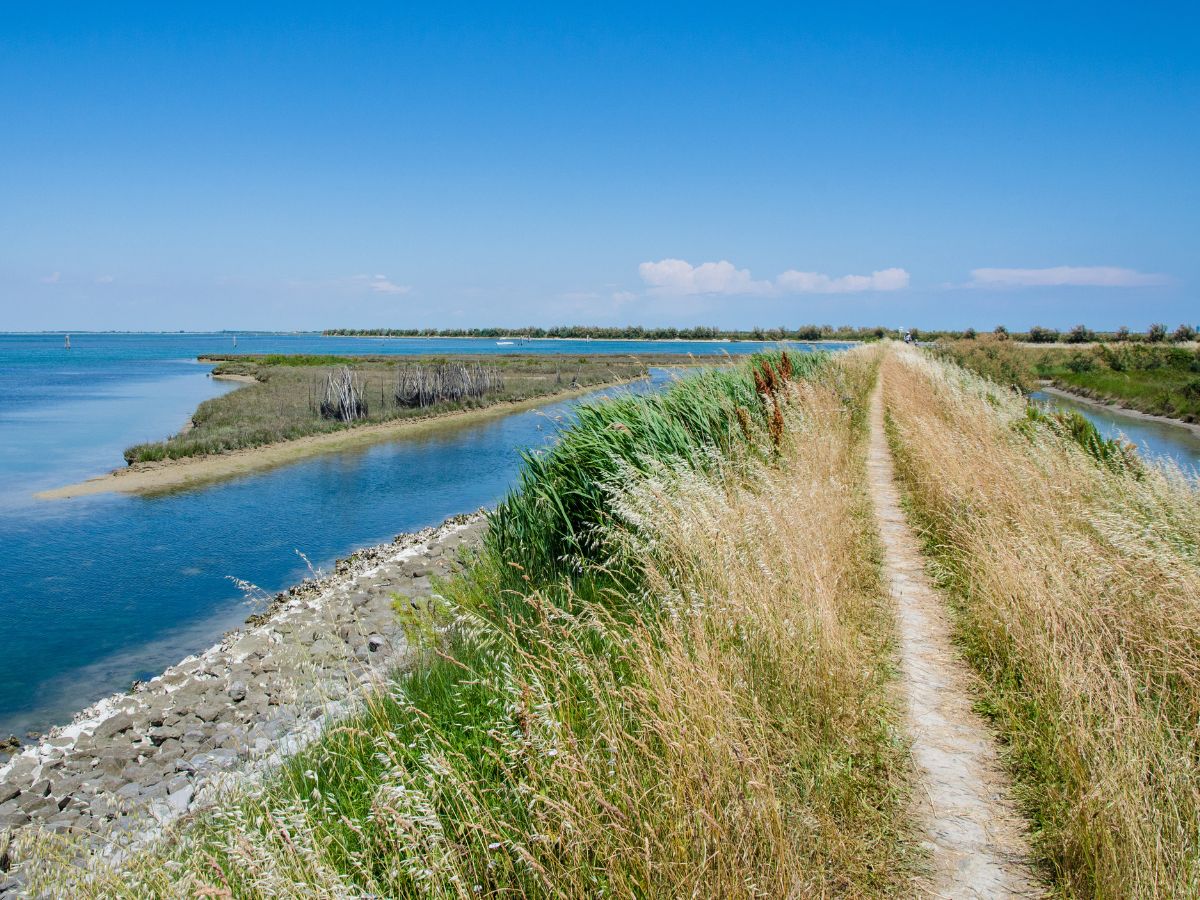 A path crosses the salt marshes of the northern Venice Lagoon near Lio Piccolo