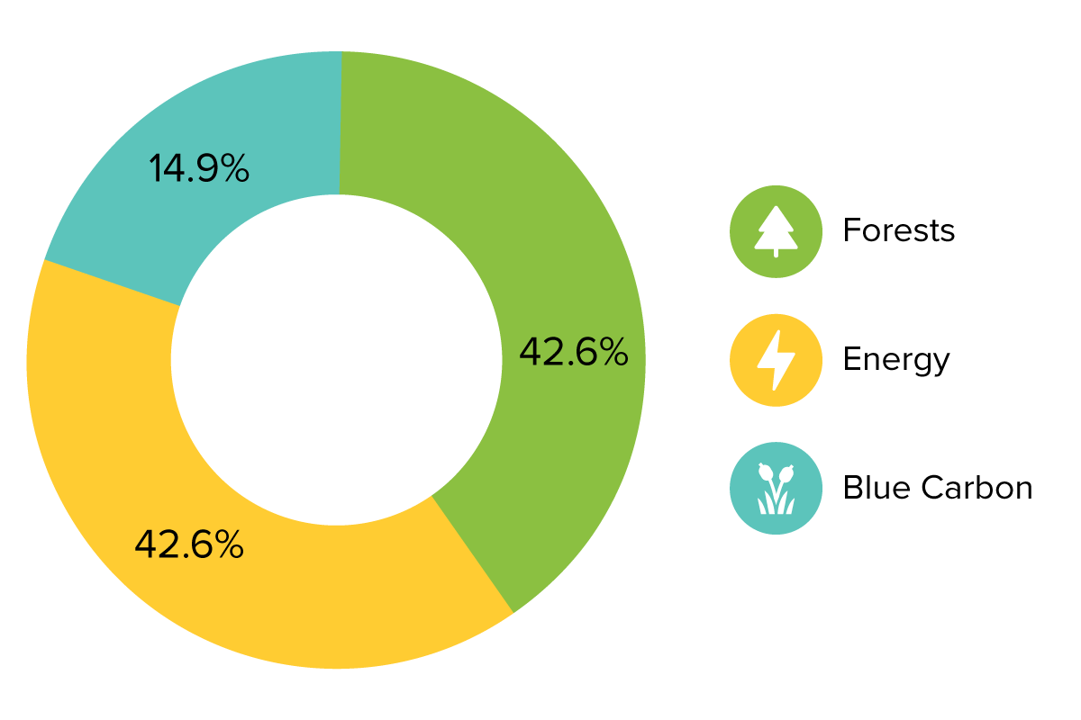 Carbon Offset Project Portfolio Allocation by Type Chart