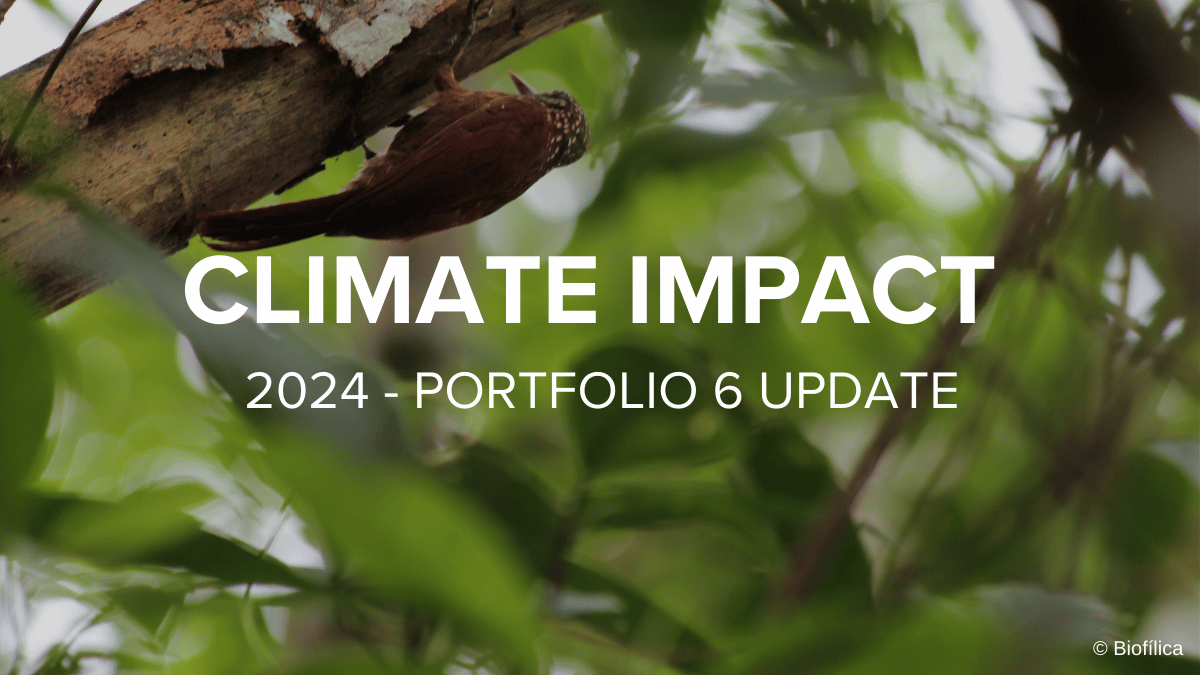 Climate Impact Update carbon offset portfolio 6 of 2024 graphic