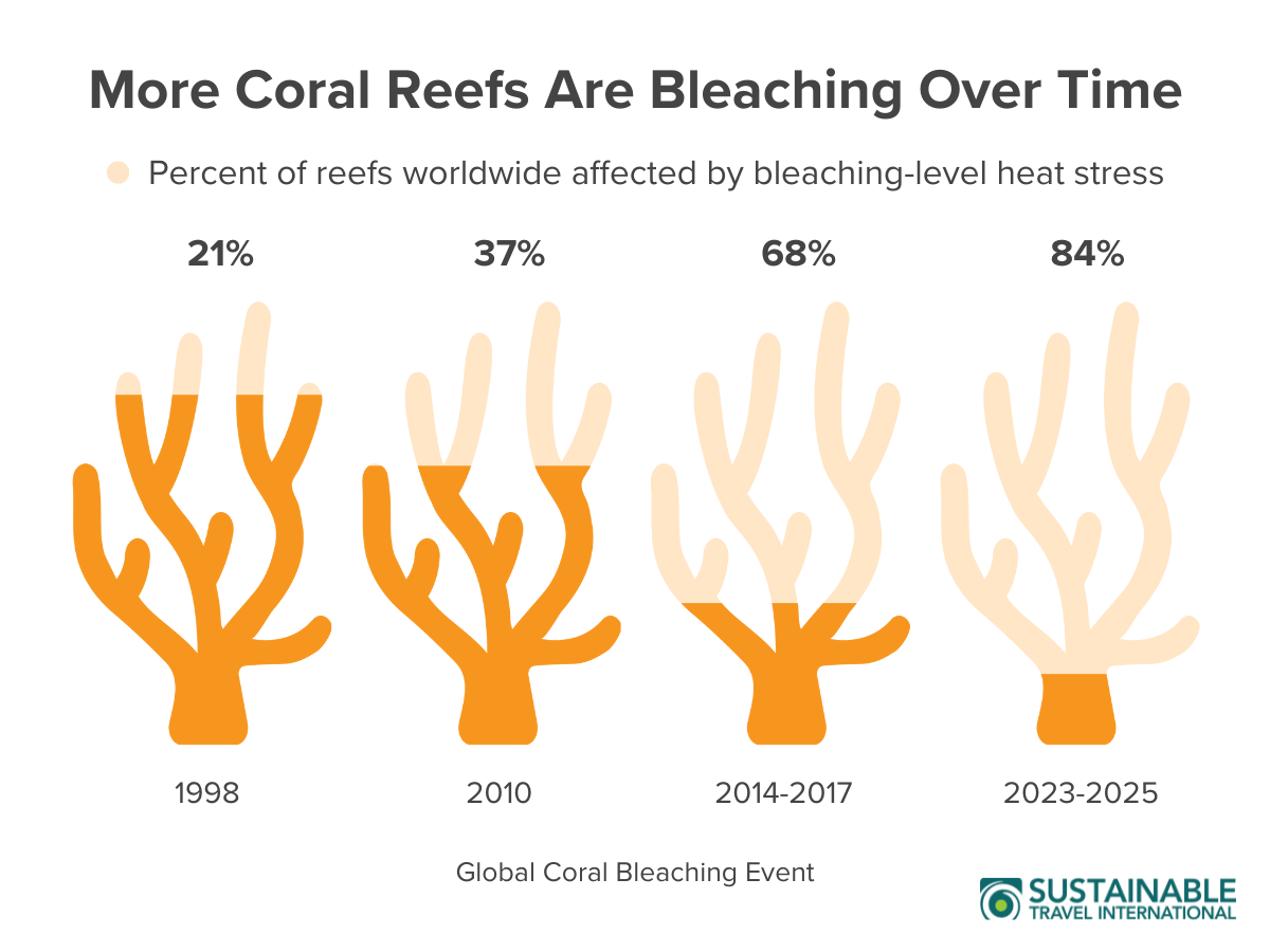 Infographic chart showing the percent of global coral reefs affected by bleaching-level heat stress during four major bleaching events from 1998 to 2025, showing the affects of global warming and rising sea temperatures on oceans and coral reefs.