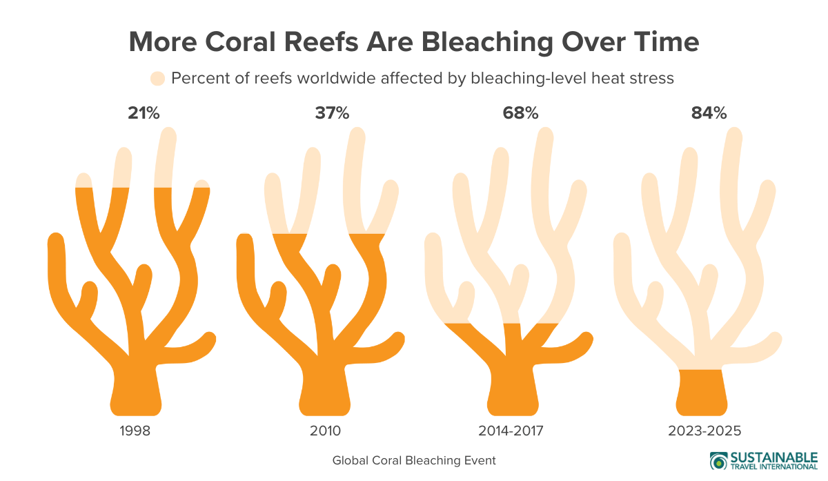  Infographic chart showing the percent of global coral reefs affected by bleaching-level heat stress during four major bleaching events from 1998 to 2025, showing the scale of coral bleaching and potential coral reef loss. 
