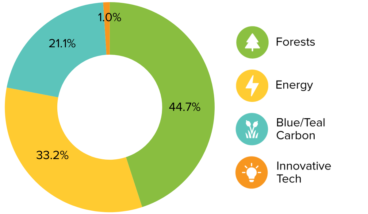 A donut chart shows climate impact portfolio allocation to blue/teal carbon, forests, energy, and innovative climate tech carbon offset projects.