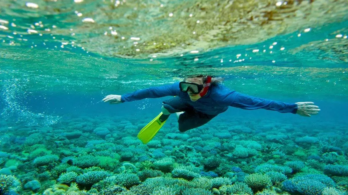 Diver Swimming Over Coral Reef