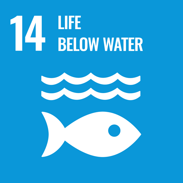 SDG Goal 14 Life Below Water