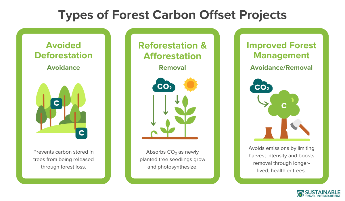 Types of forest carbon offset projects infographic