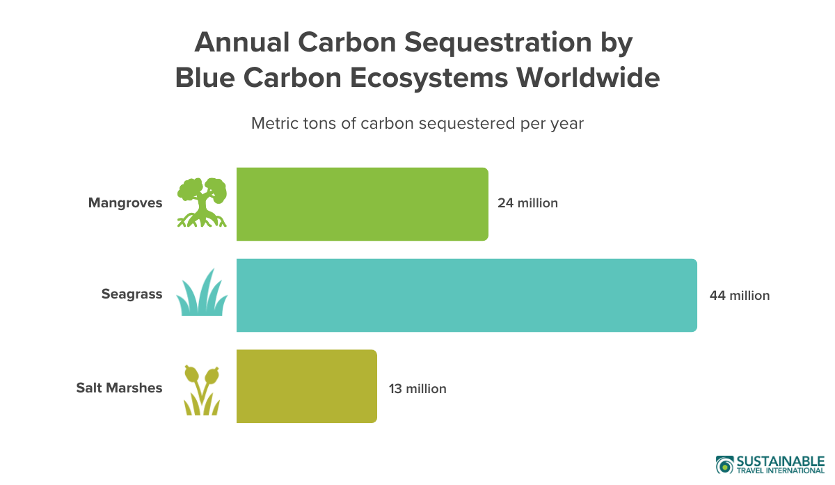 Bar chart graphic comparing annual global carbon sequestration of coastal ecosystems, including mangroves, seagrass, and salt marshes. Highlights the role of blue carbon ecosystems in climate change mitigation.