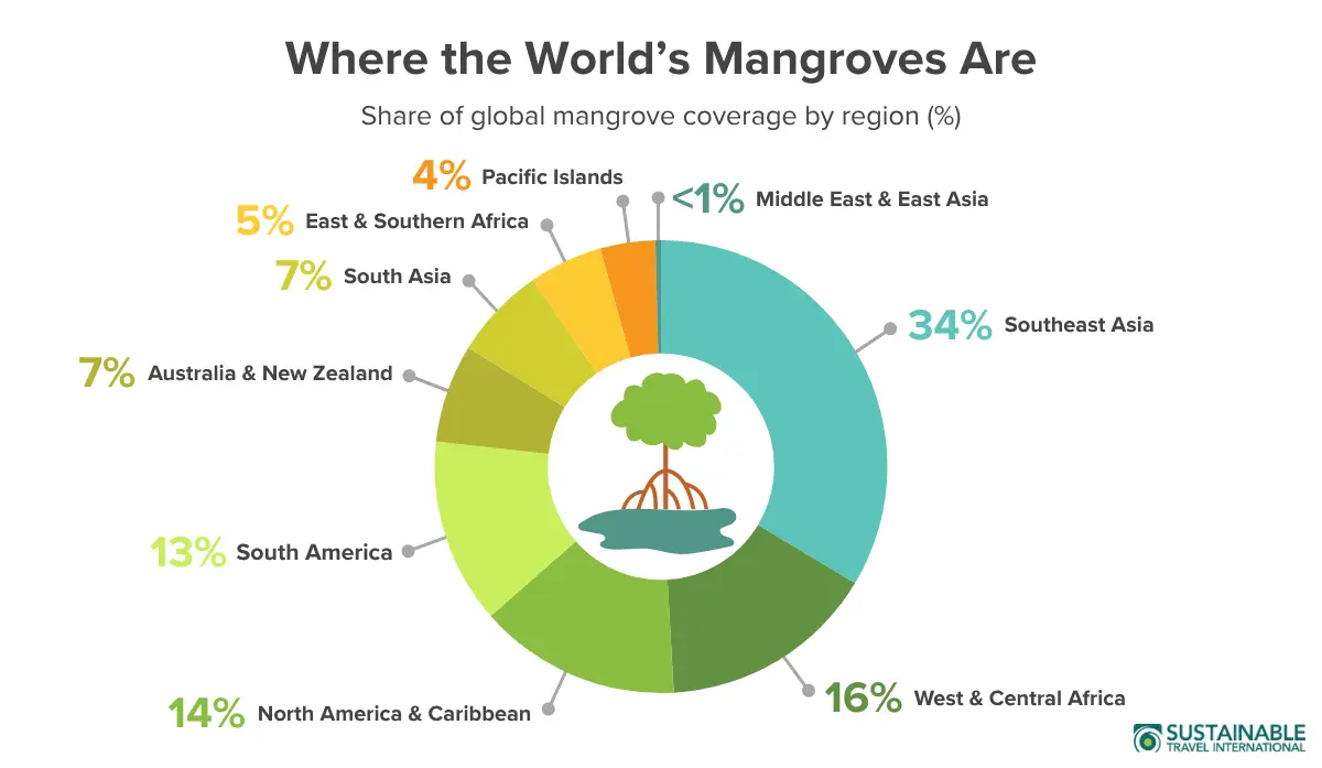 Graph chart showing where in the world mangroves grow, as the percent of global area by region. 
