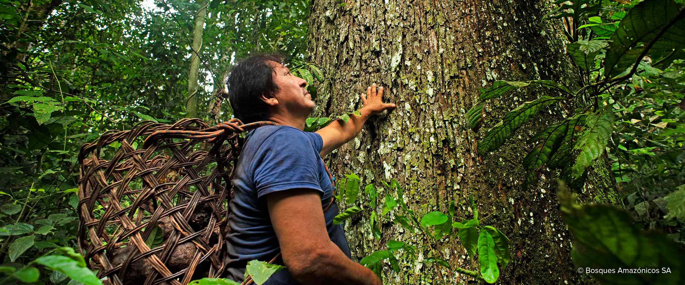 Brazil nut collection in Madre de Dios, Peru carbon offset project