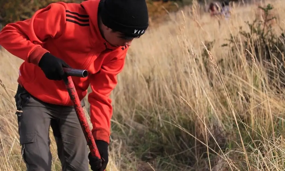 Aiding park reforestation efforts