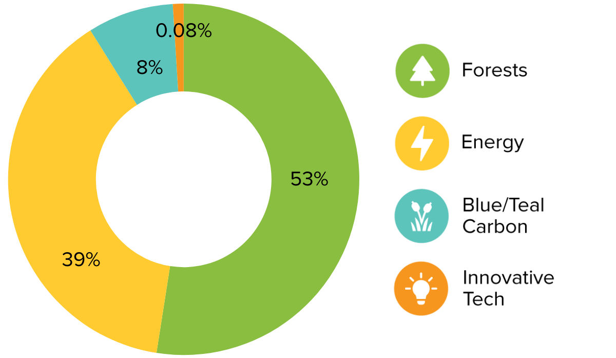 A donut chart shows historic climate impact portfolio allocation to blue/teal carbon, forests, energy, and innovative climate tech carbon offset projects