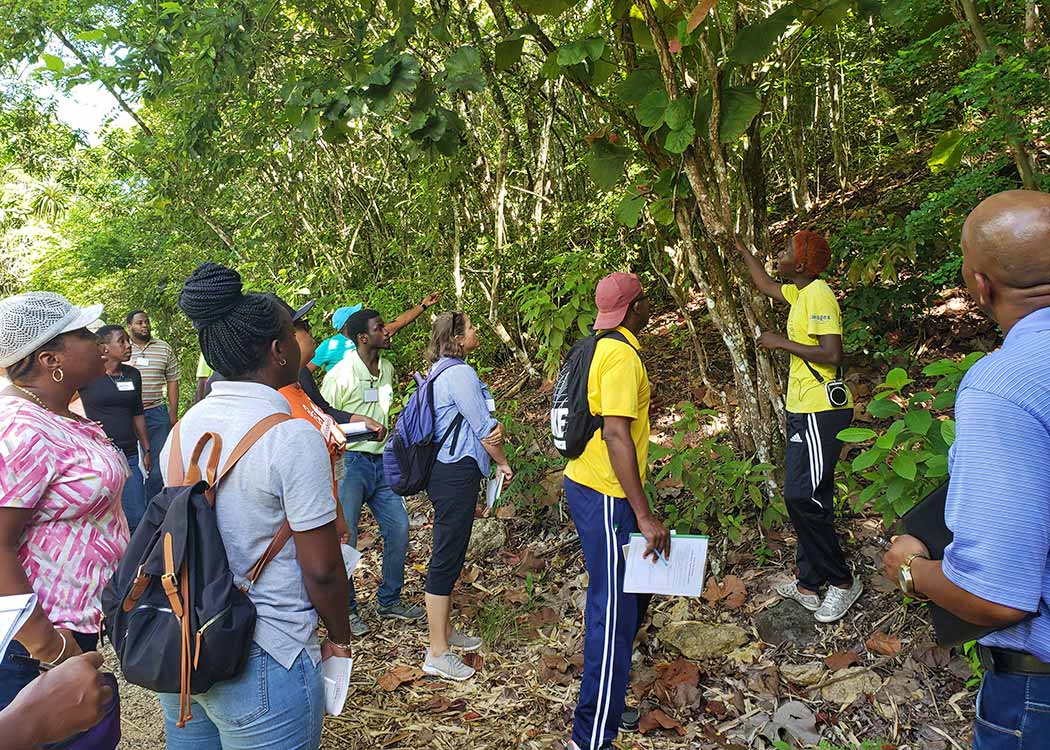 Antigua Destination Stewardship Committee Workshop